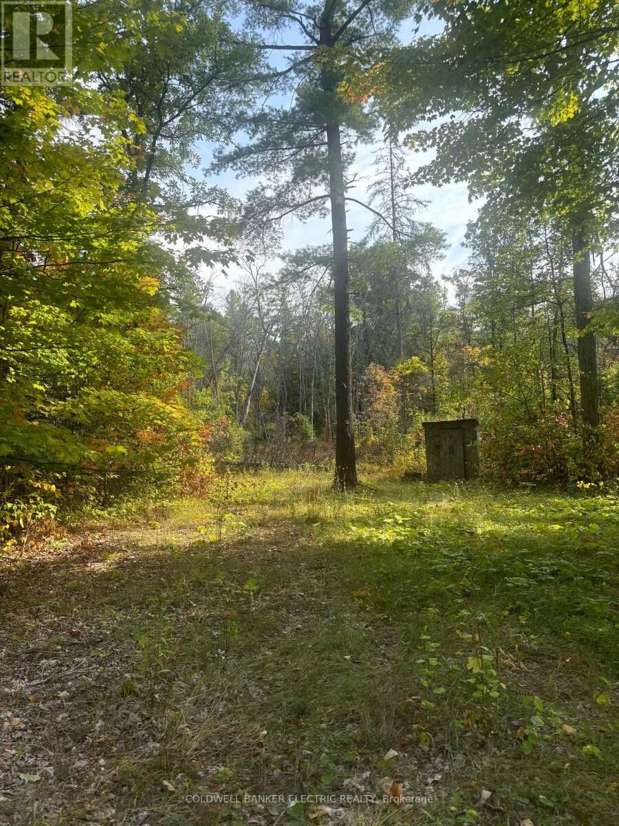 Property Photo:  0 Pineview Court  ON K0K 2M0 