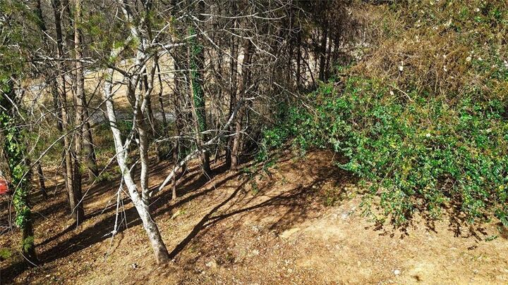 Property Photo:  117 Turner Road  GA 30533 