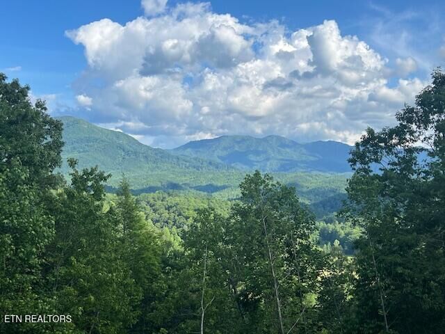 Property Photo:  5262 Riversong Way  TN 37862 