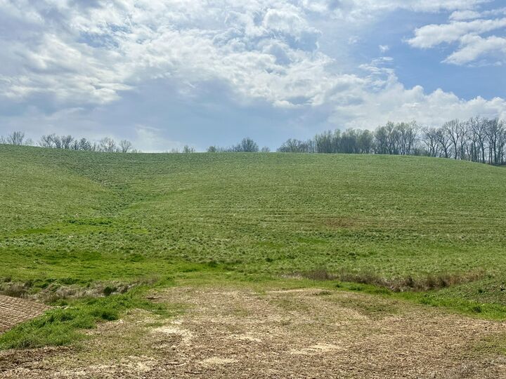 Property Photo: 133 Jaguar Way KY 40741