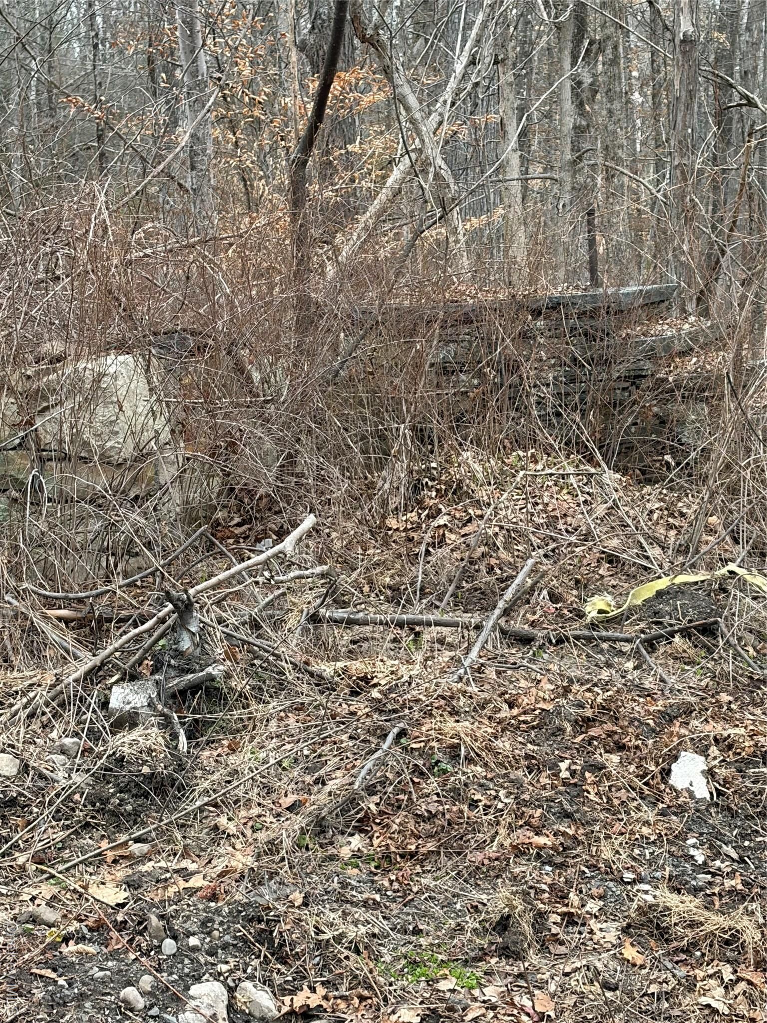 Property Photo:  1501 US Route 209  NY 12729 