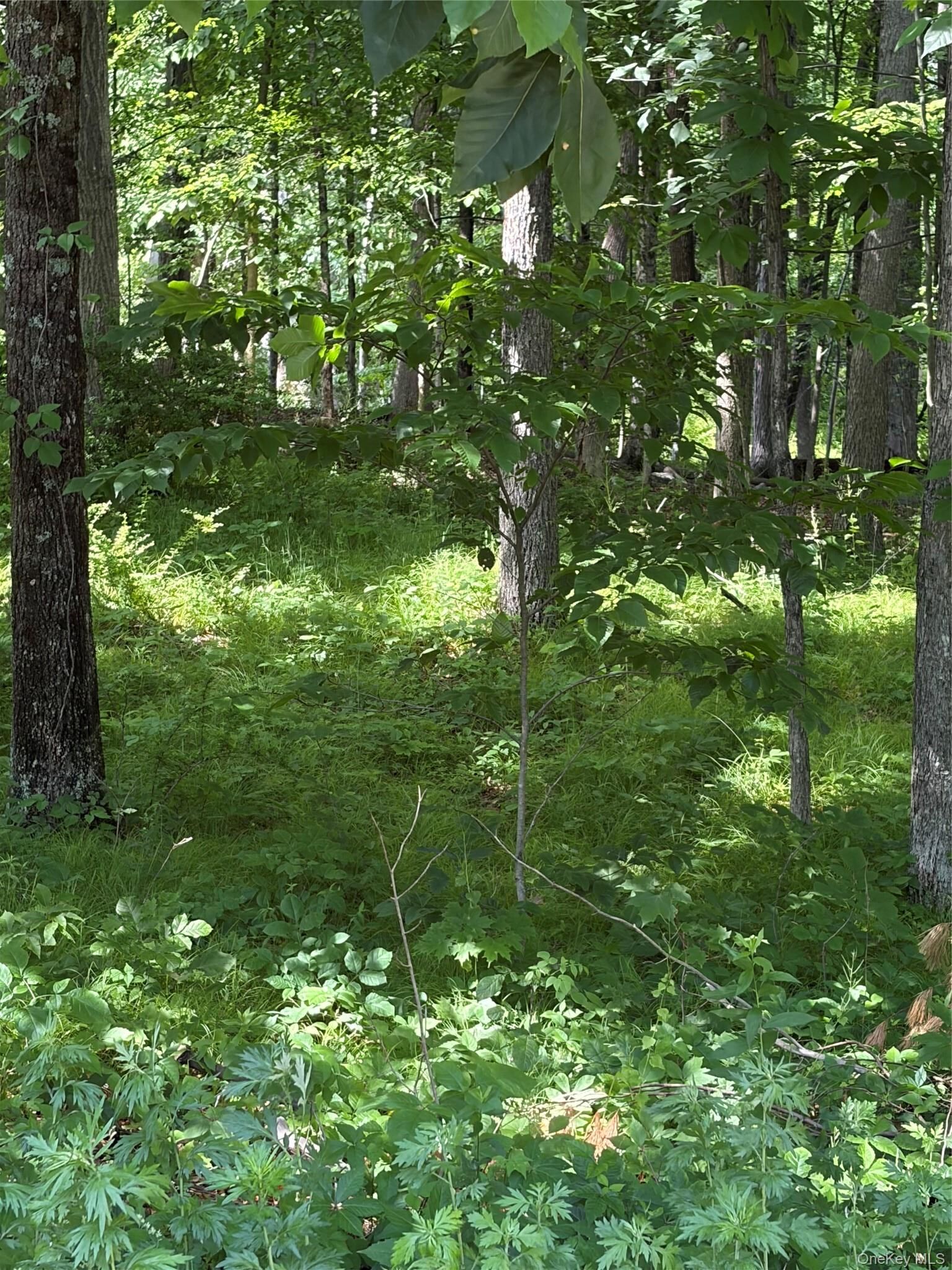 Property Photo: 1501 US Route 209 NY 12729