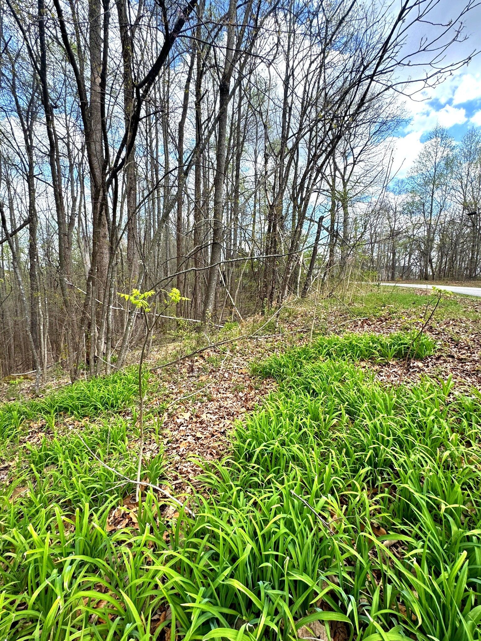Property Photo: 0 Coconut Ridge Rd TN 37166