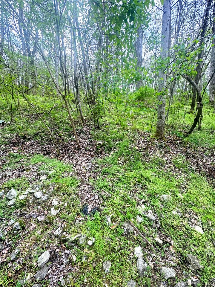 Property Photo:  0 Lakeview Dr  TN 37166 