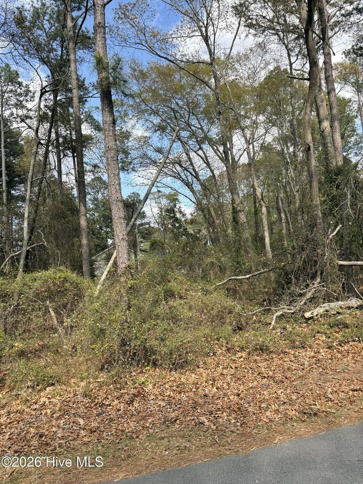 Property Photo:  121 &Amp 123 153 &Amp 154 Pueblo Trail  NC 27932 