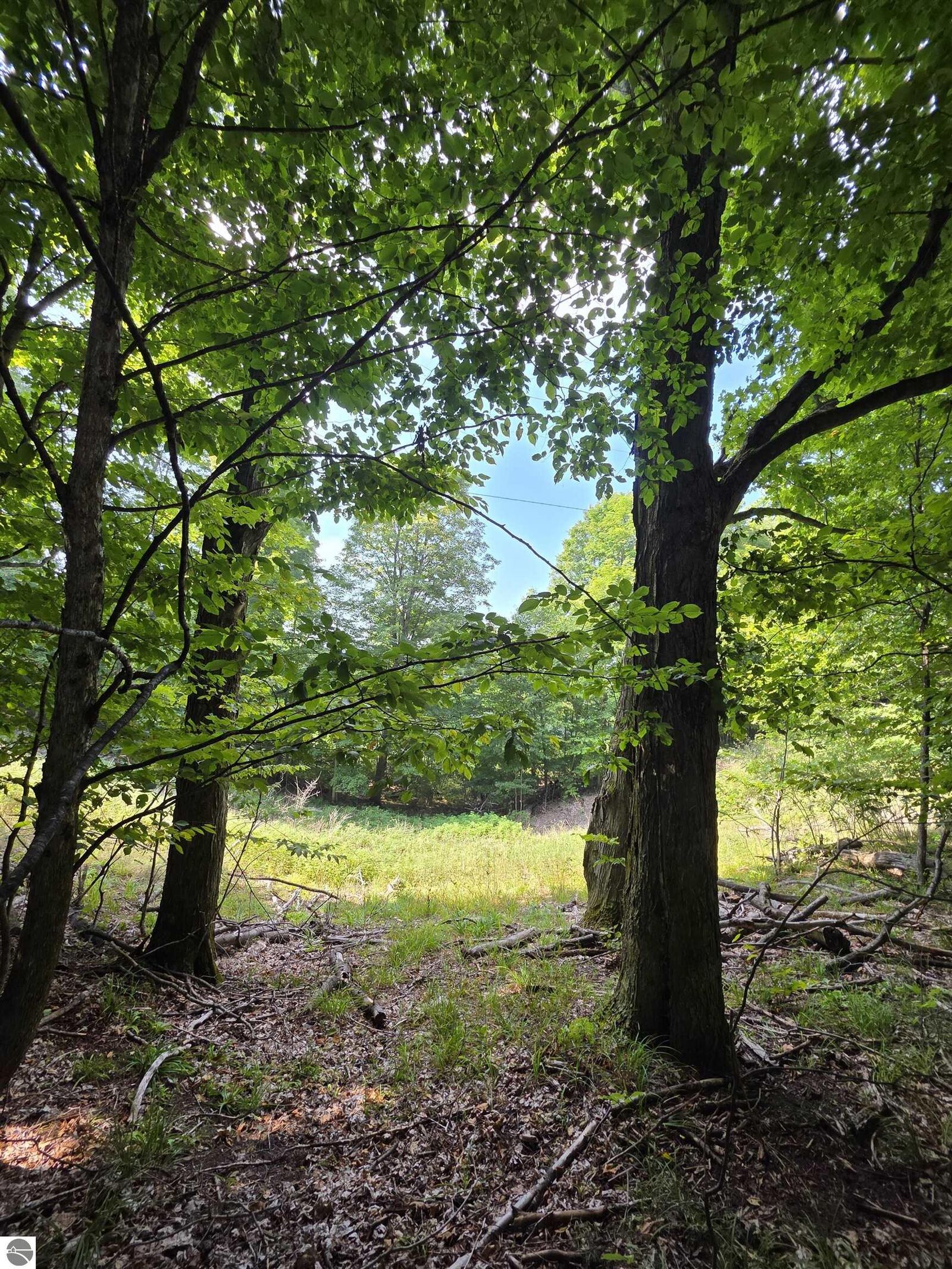 Property Photo: Vl Ranch Drive MI 49615