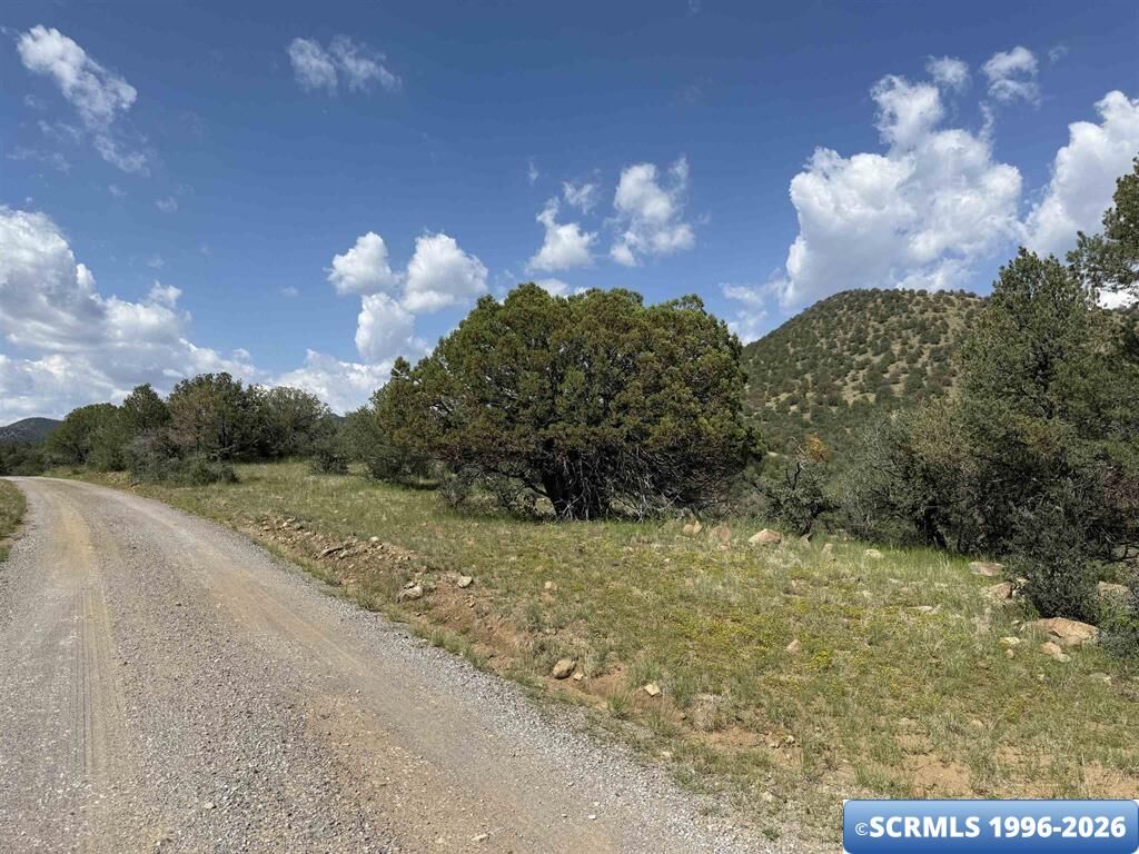 Property Photo:  Xy Black Dog Road  NM 88061 