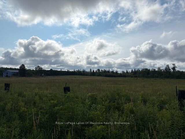 Property Photo: 0 Old Muskoka To The West Side Of #1105 Road ON P0B 1M0