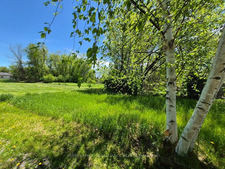 Property Photo:  58 Walt Street  ON K0K 1H0 