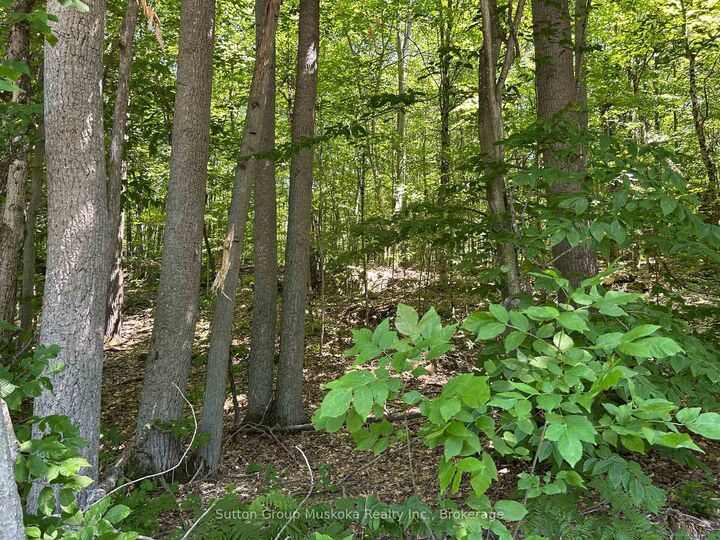 Property Photo:  0 Tally Ho Winter Park Road  ON P1H 2J3 