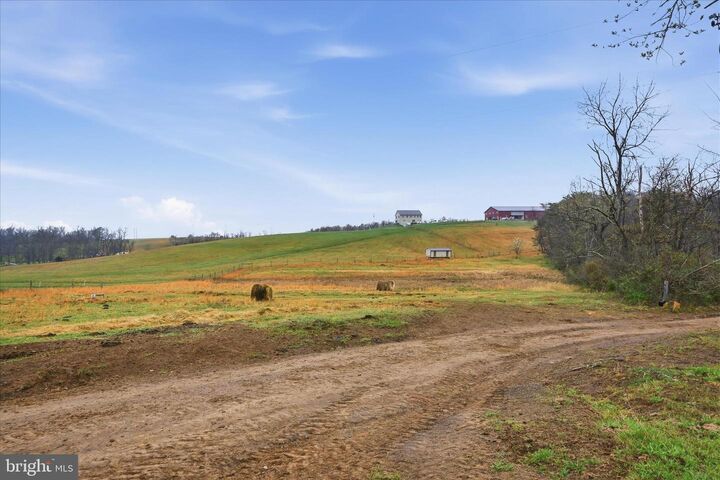 Property Photo:  950 Stony Hill Road  VA 22603 