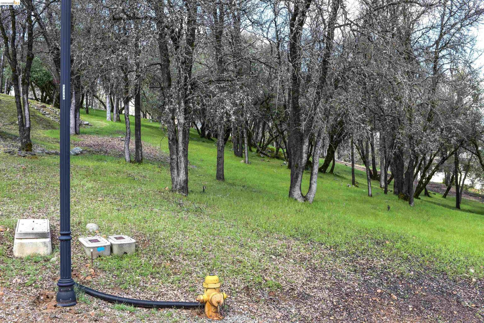 Property Photo:  19077 Apple Valley Dr.  CA 95370 