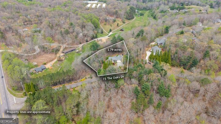 Property Photo:  73 The Oaks Drive  GA 30540 