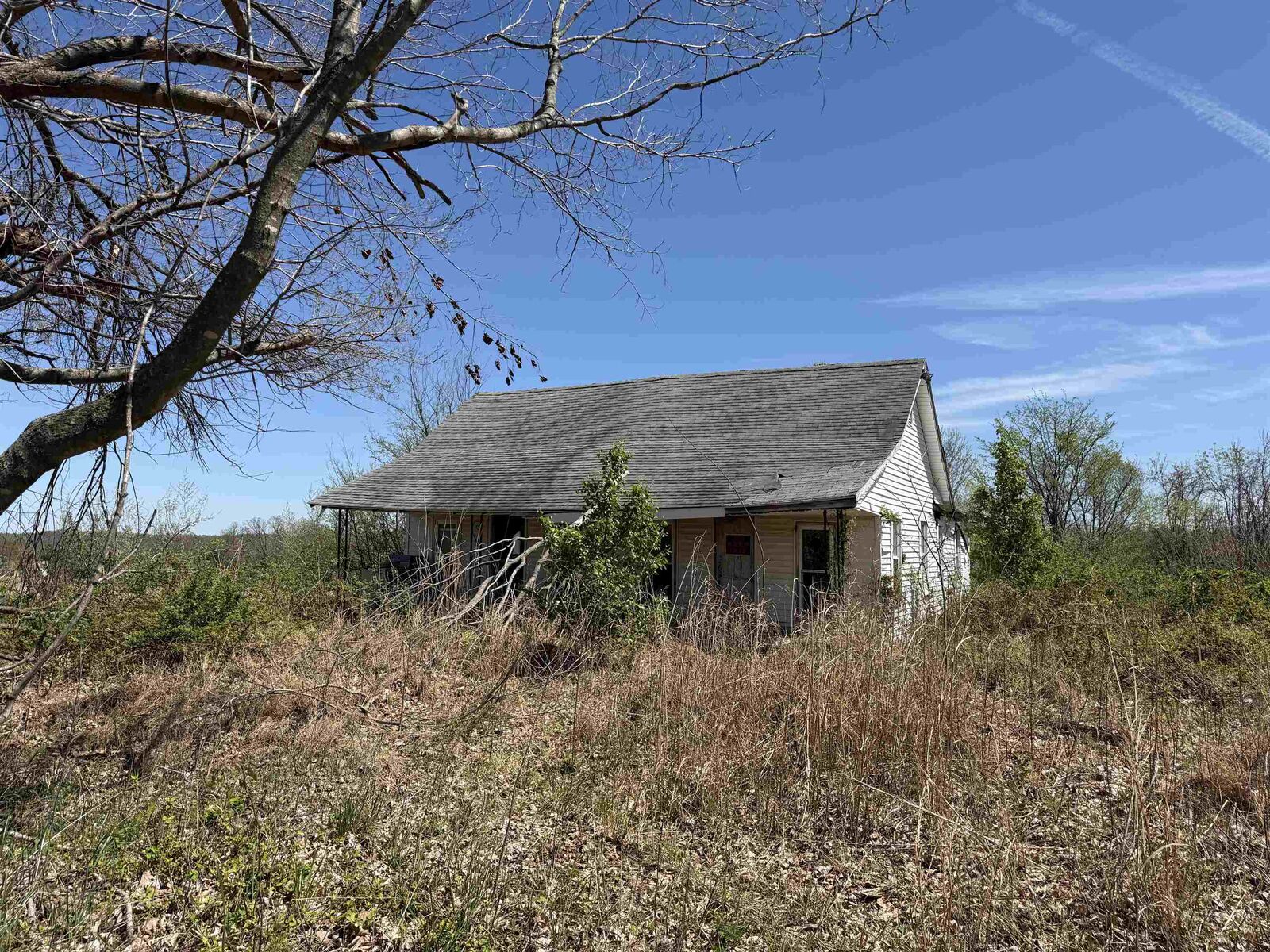 Property Photo:  3162 Chapel Hill Rd  KY 42064 