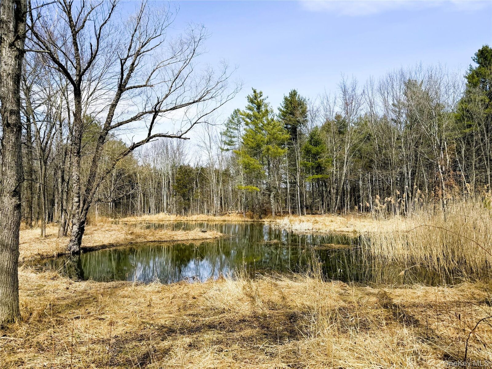 Property Photo:  Tbd Frank Hitchcock Road  NY 12413 