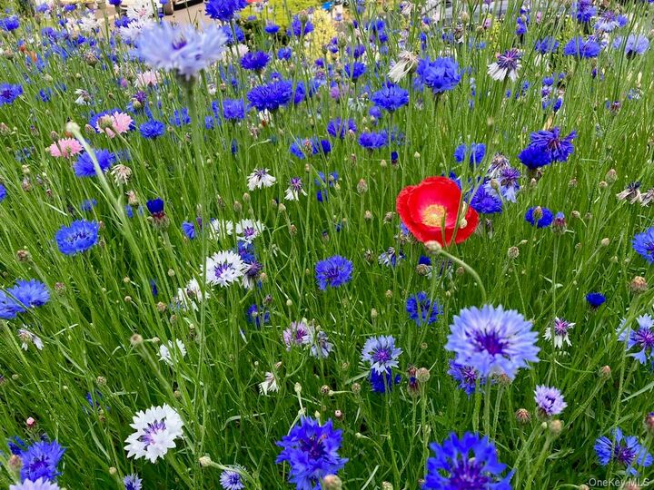 Property Photo:  13 Irvington Street  NY 10522 