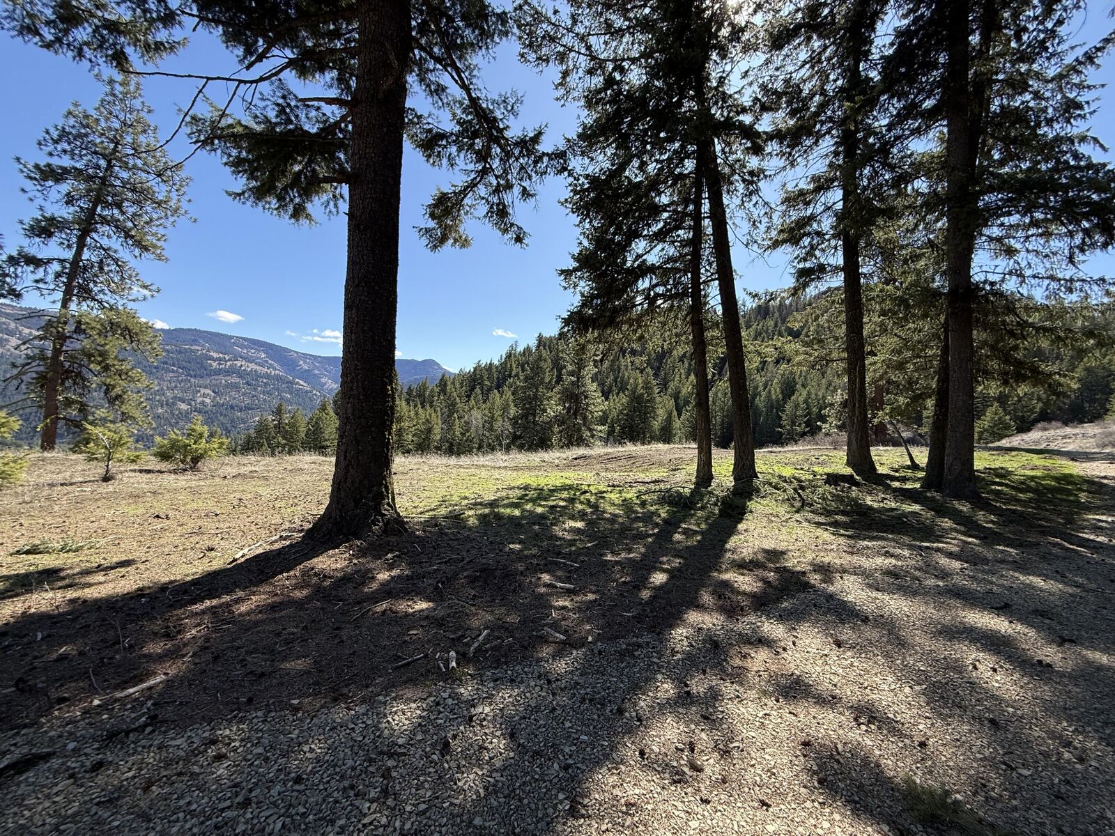 Property Photo:  Tbd Coogan Creek Dr  WA 98859 