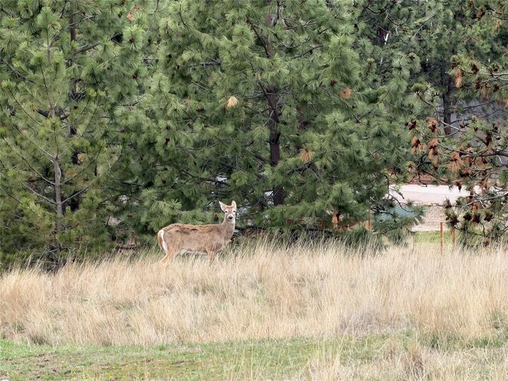 Property Photo:  2608 Gharrett Street  MT 59803 