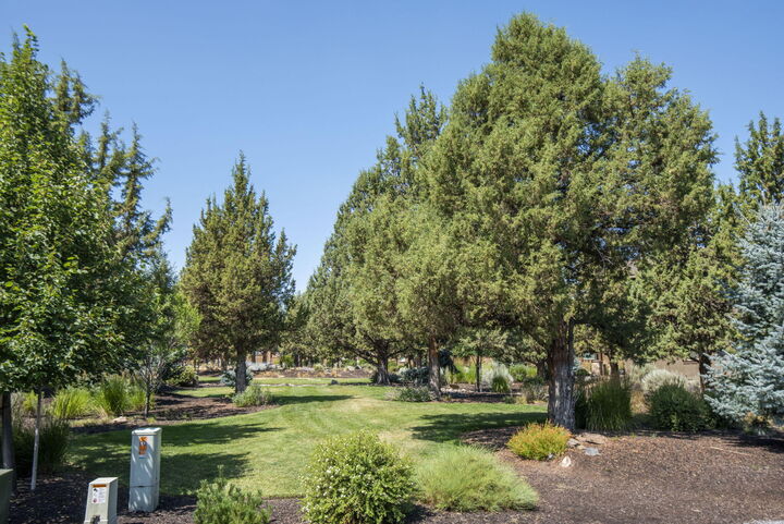 Property Photo:  285 Vista Rim Drive  OR 97756 