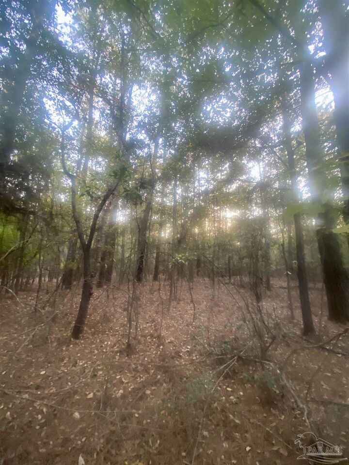 Property Photo:  13 Acres Hwy 4  FL 32565 