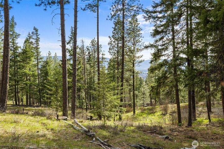 Property Photo:  0 Xxx  Game Trail Road  WA 98922 