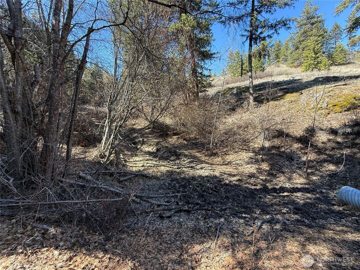 Property Photo: 0 Coogan Creek Road WA 98859