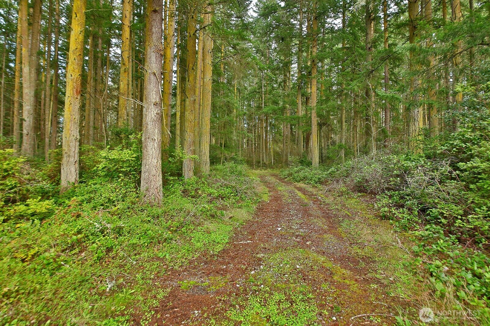 Property Photo:  0 Xxx  Mutiny Bay Road  WA 98249 