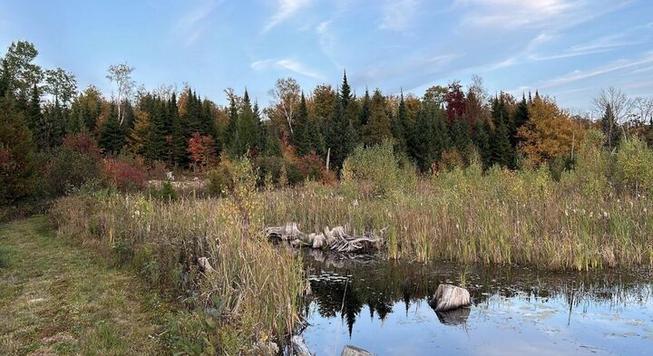 Property Photo: 1560 Rand Hill Road NY 12910