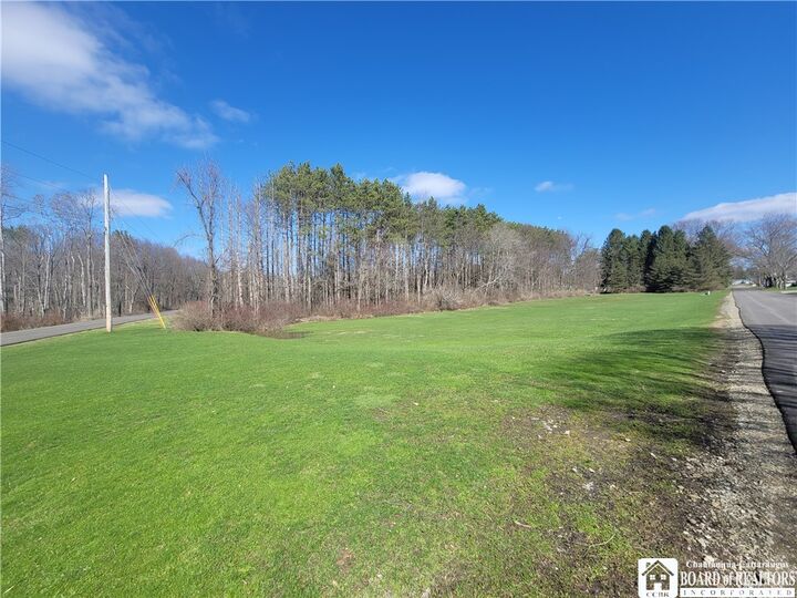 Property Photo:  Cherry Street  NY 14738 