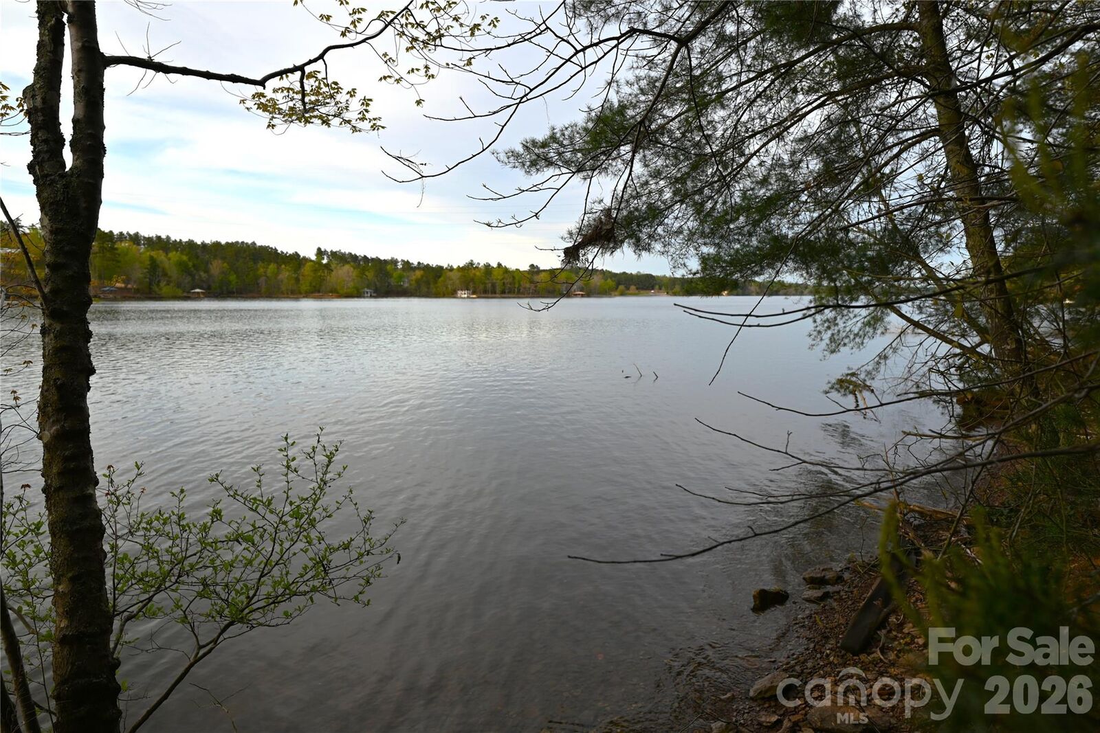 Property Photo:  2299 Lighthouse Lane 76  NC 28612 