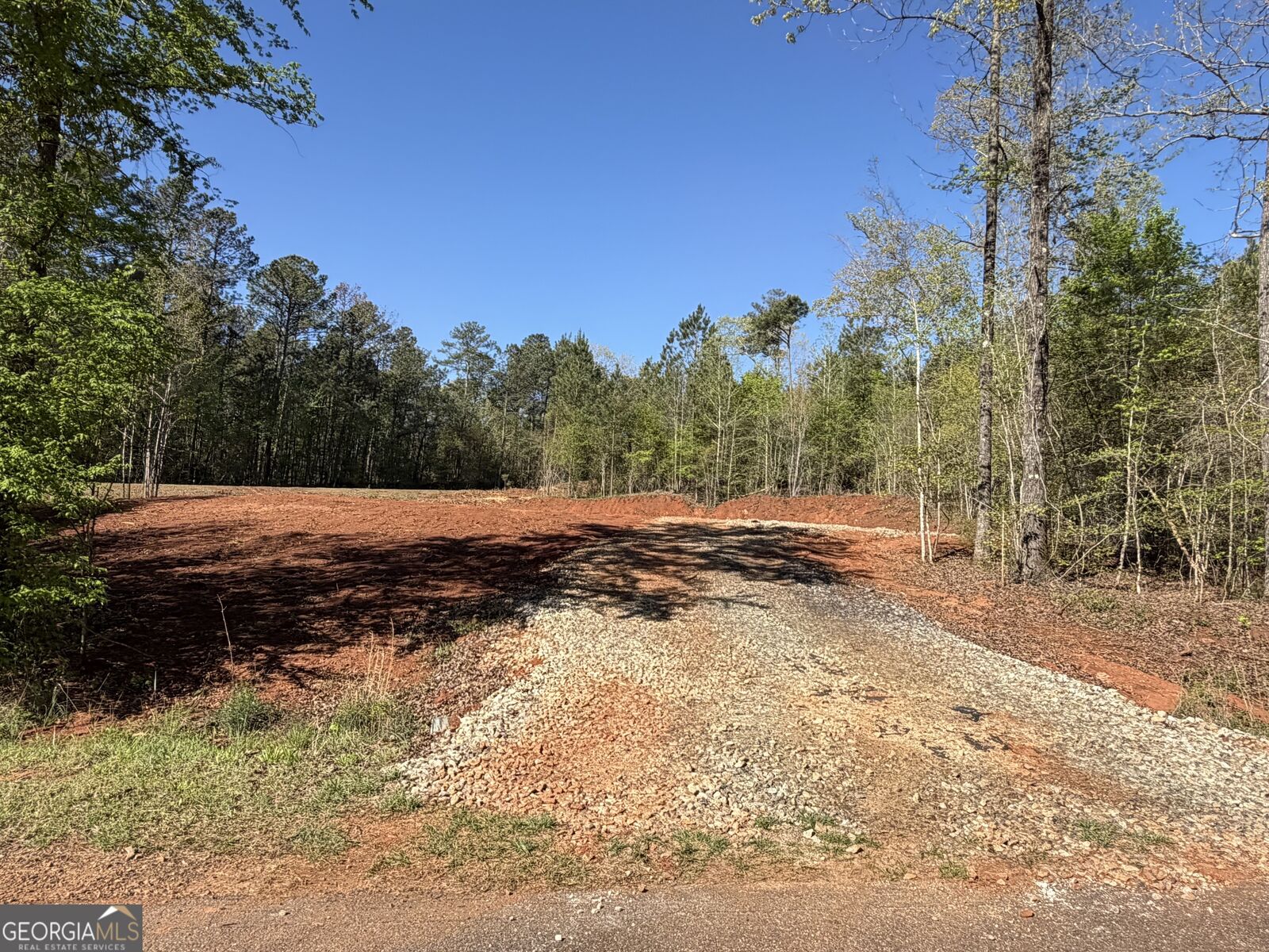 Property Photo:  0 Andrews Chapel Road  GA 30286 