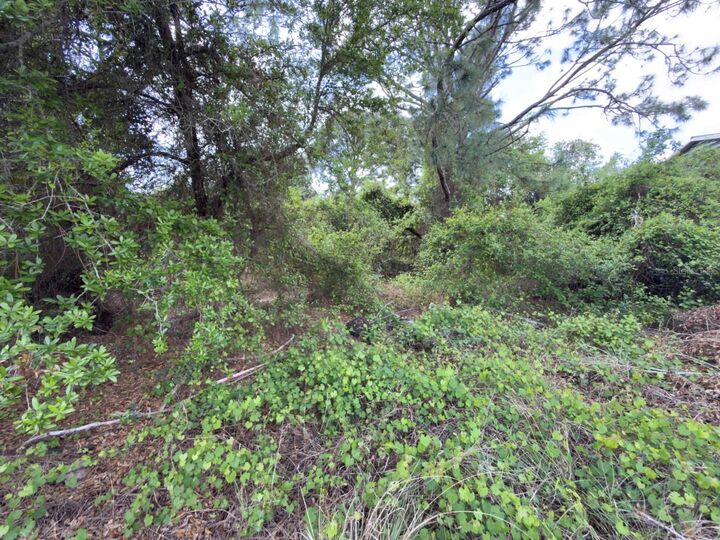 Property Photo:  4529 28th Street SW  FL 33973 