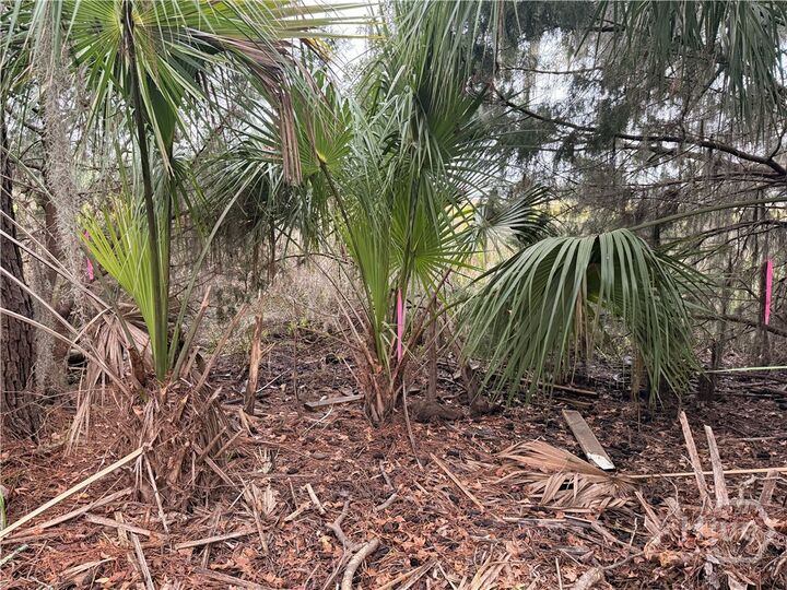 Property Photo:  209 Battery Way  GA 31410 