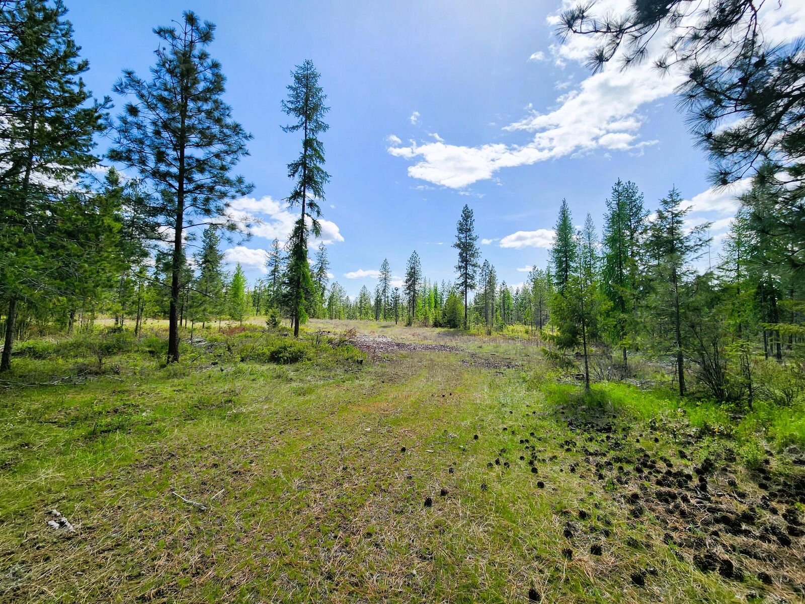 Property Photo:  3669 E Jumpoff Rd  WA 99181 