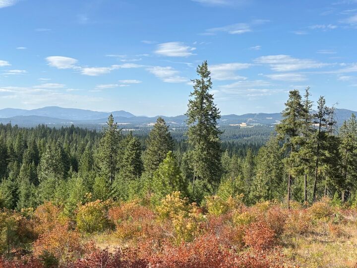 Property Photo:  84xx Lodge Pole Ln  WA 99003 