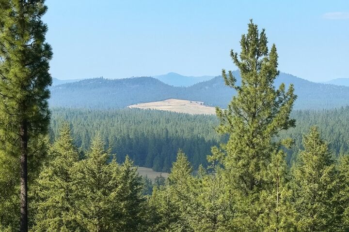 Property Photo:  84xx Lodge Pole Ln  WA 99003 