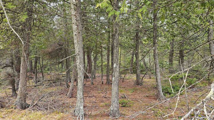 Property Photo:  Lt 255 Pedwell Pt. Drive  ON N0H 2R0 