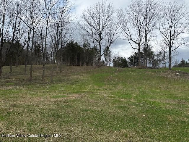 Property Photo: Tbd High Falls Road NY 12414