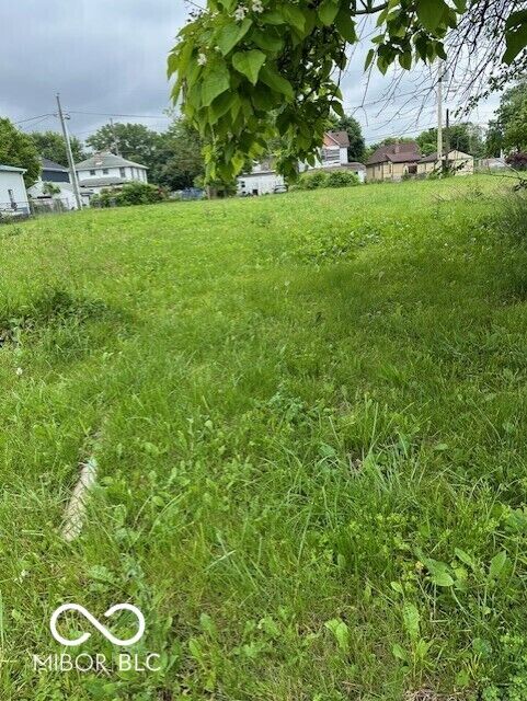 Property Photo: 1617 Dr Andrew J Brown Avenue IN 46202