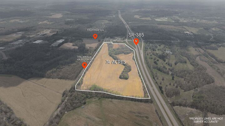 Property Photo:  3131 US 64 Hwy  TN 38002 