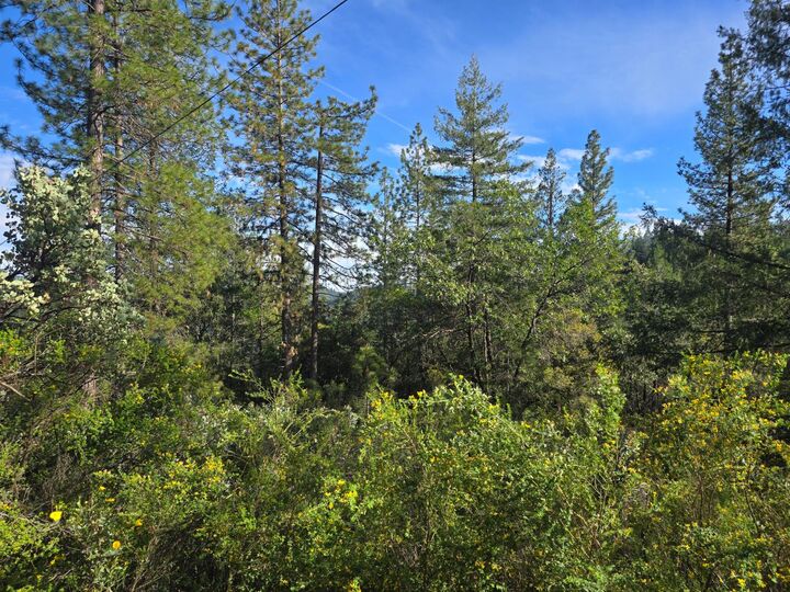 Property Photo:  0 P C Lane  CA 95713 