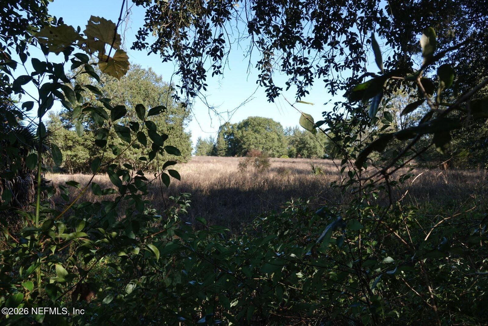 Property Photo:  525 Raulerson Road  FL 32190 