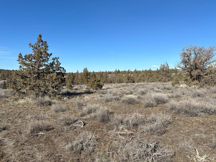 Property Photo:  SE Odessa Road Lot 132  OR 97754 