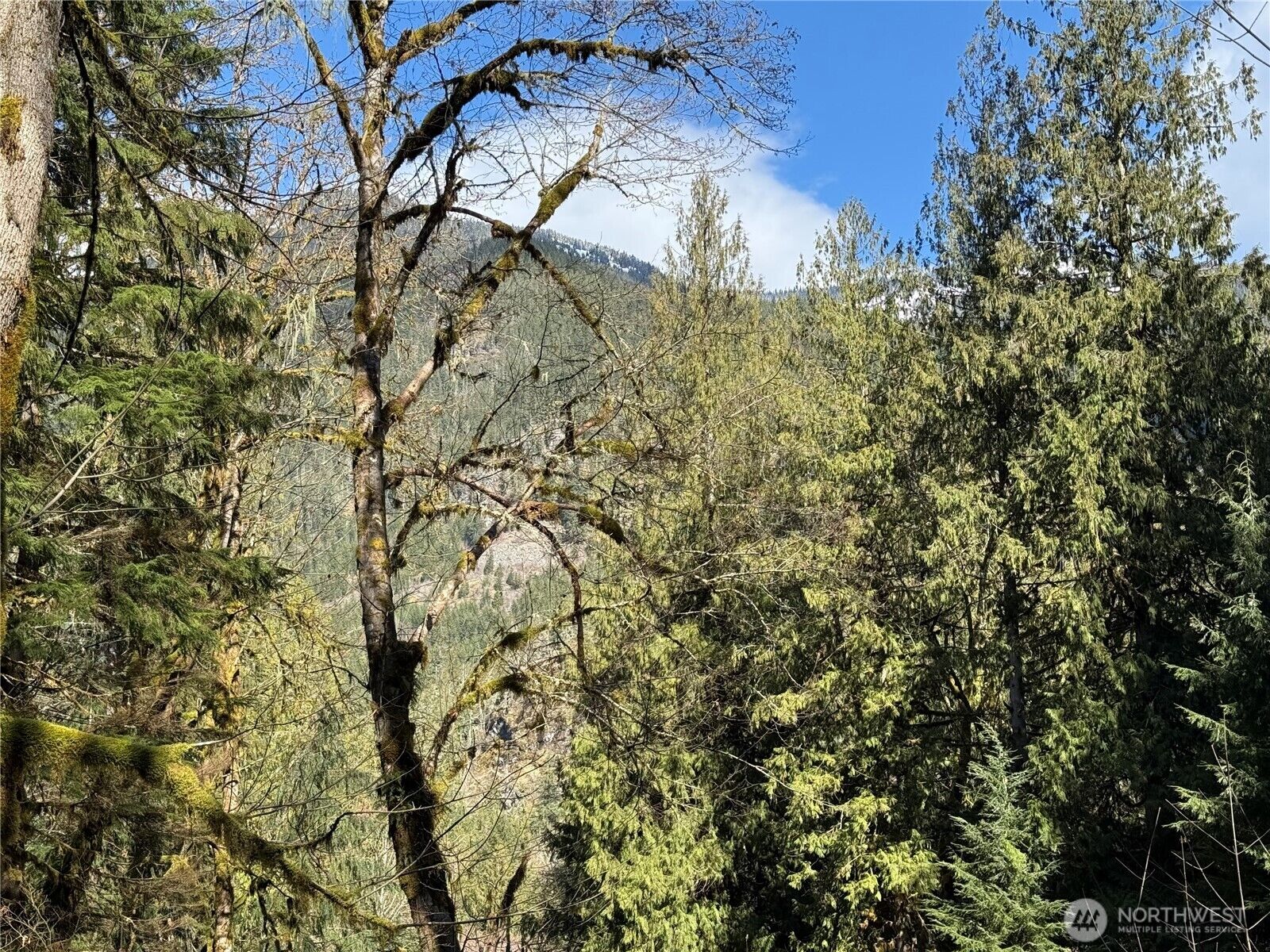Property Photo:  0  High Ridge Drive  WA 98267 