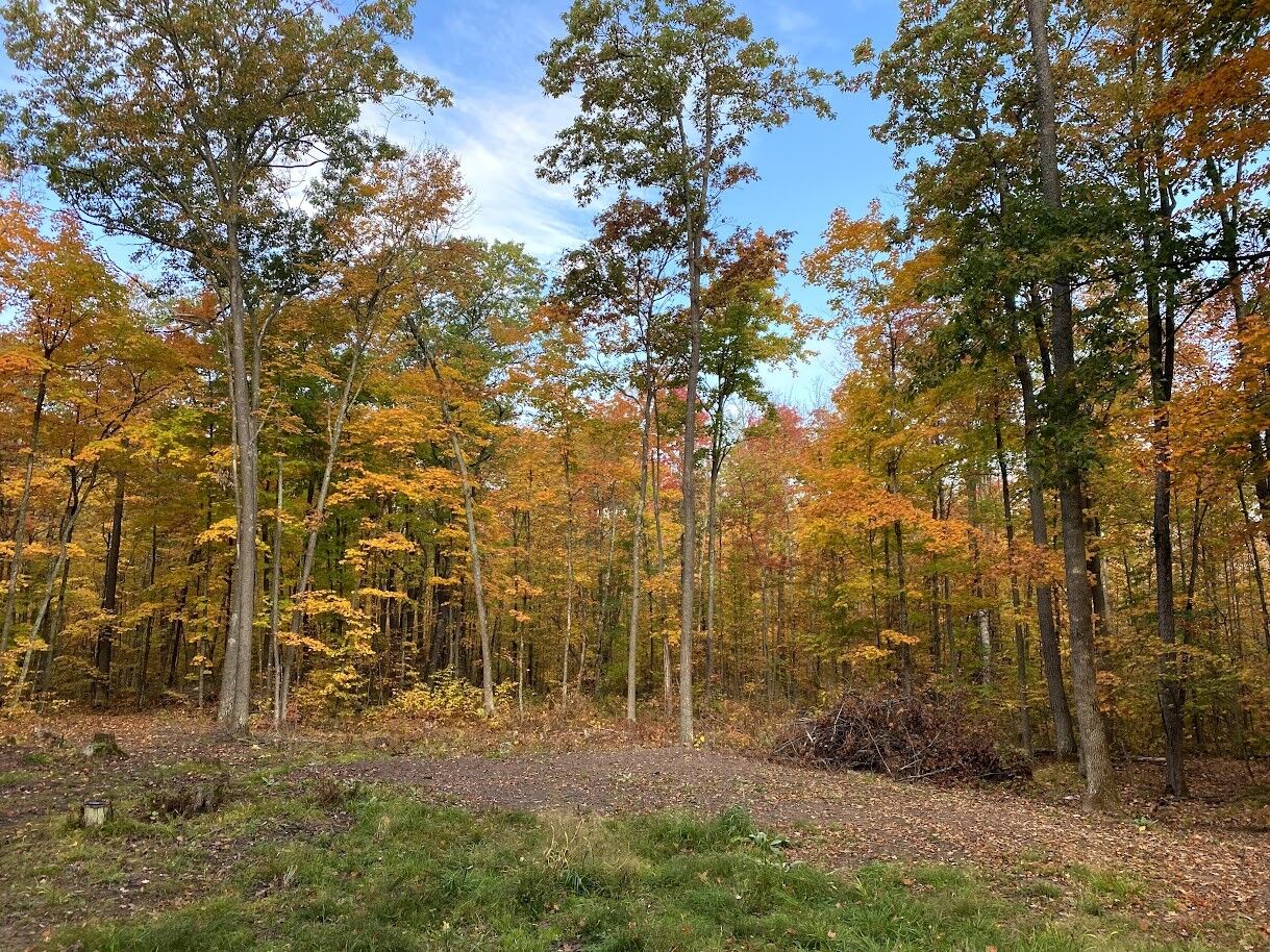 Property Photo:  15846 W Pank Road  WI 54876 