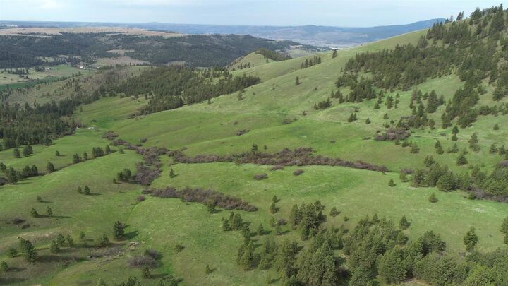 Property Photo: Xxx Egypt Loop Rd. E. Sunset Mountain Ridge WA 99122