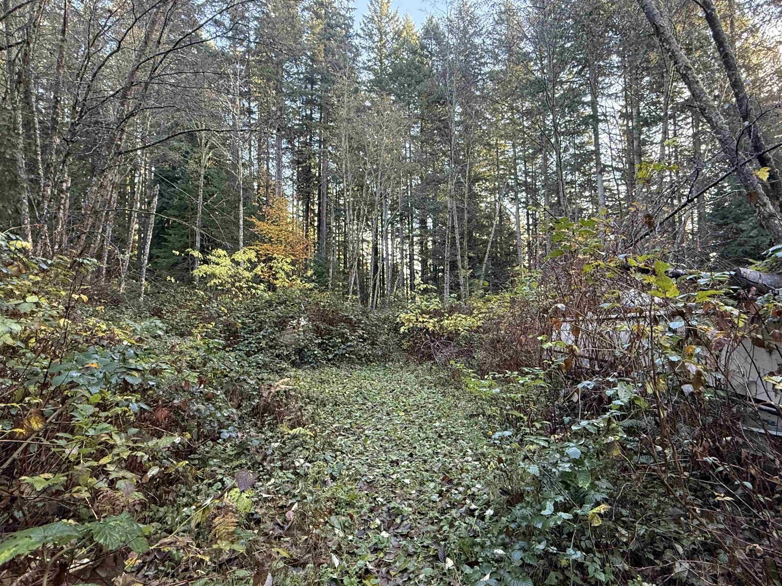 Property Photo: 1594 Cemetery Road BC V0N 1V1