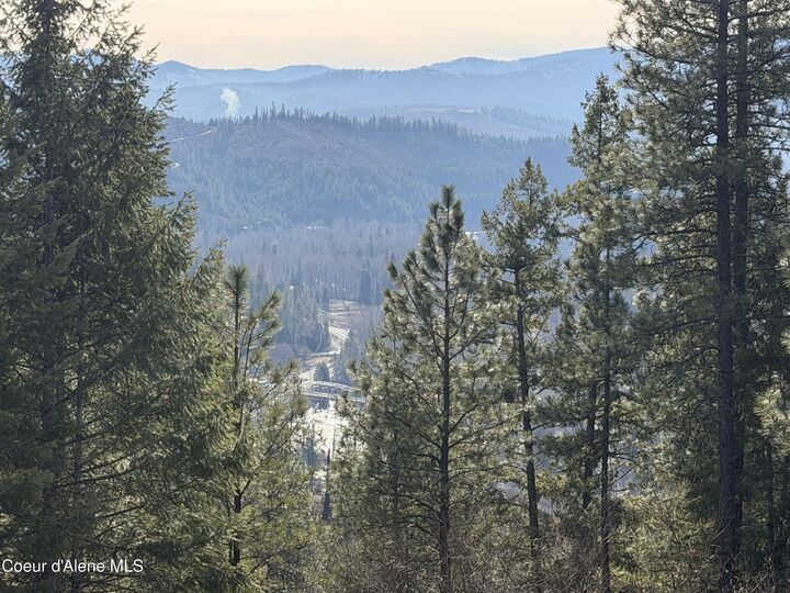 Property Photo: Nna Cda River Drive/McPhee Gulch 9.84 Acres ID 83839