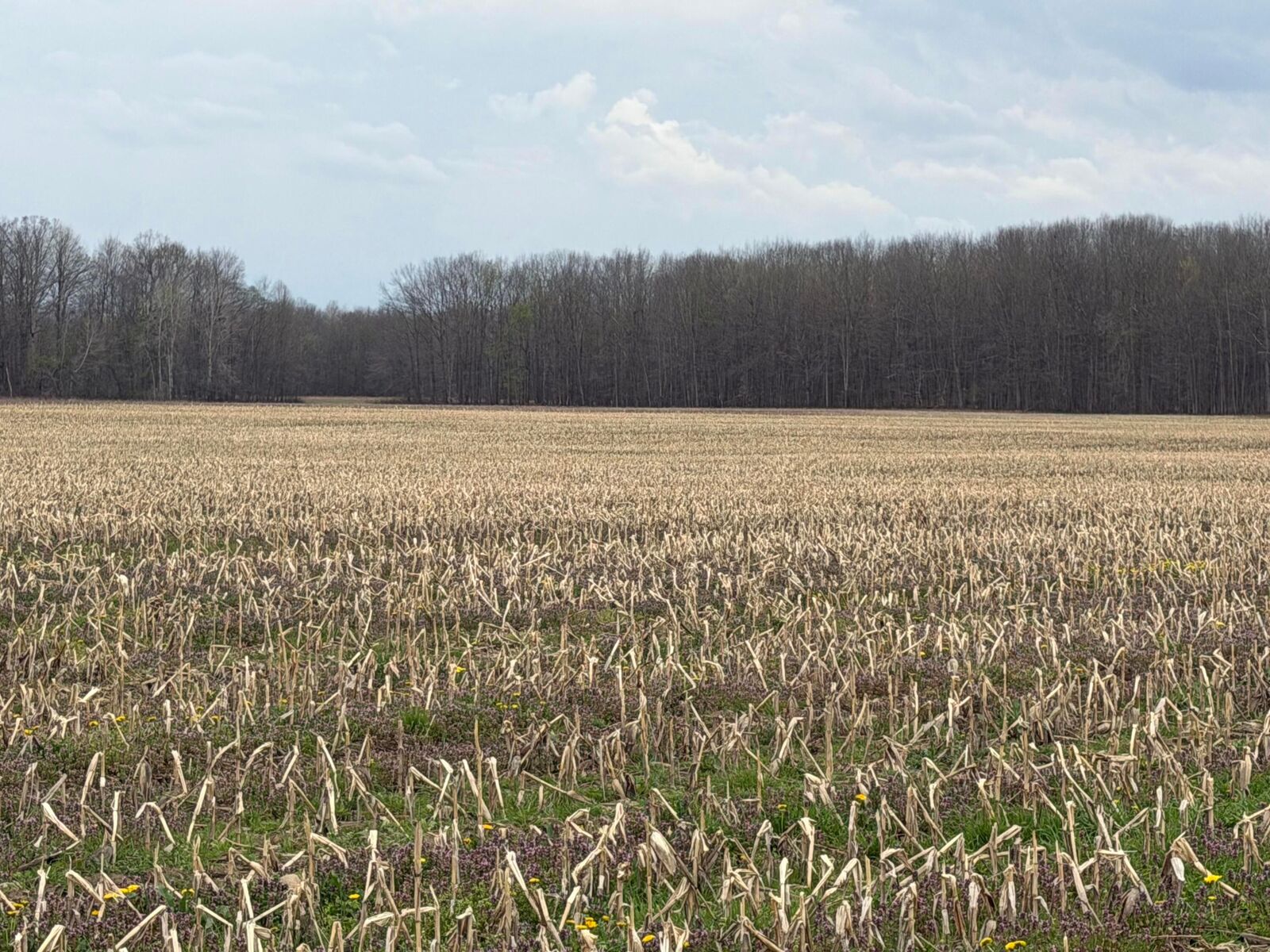 Property Photo:  0 Forman Road  OH 44010 