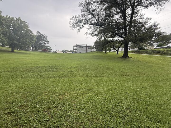 Property Photo:  0 Chisolm Avenue  AL 35740 